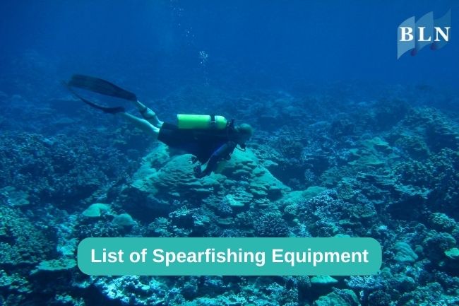 List of Spearfishing Equipment